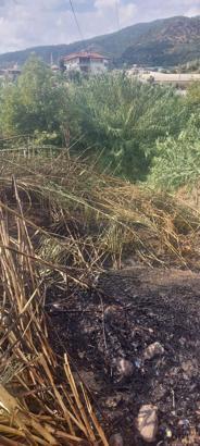 Alanya'da otluk alanda çıkan yangın söndürüldü