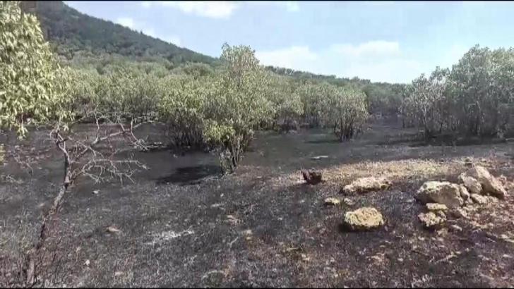 Ormanlık alanda çıkan örtü yangını söndürüldü