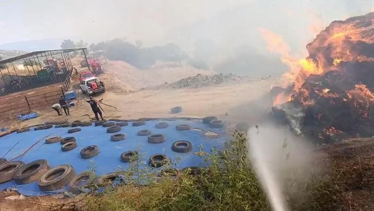 Aydın'da tarım arazisinde yangın