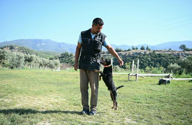 11 yılda yetiştirdiği 4 arama köpeğiyle, sayısız hayat kurtardı