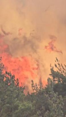 Balıkesir'de kamyondaki yangın ormana sıçradı/Ek fotoğraflar