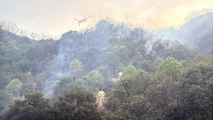 Manisa’da makilik alanda yangın (2)