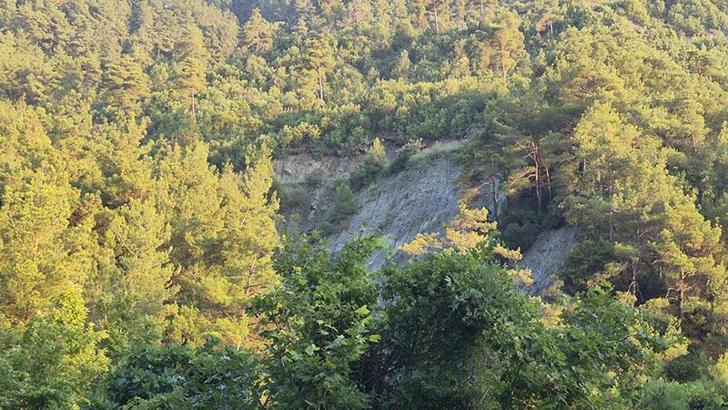 Otomobil, 50 metre yükseklikten dere yatağına düştü: 1 ölü, 1 yaralı