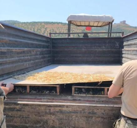 Traktörün römorkunda 2 bin 114 saka ele geçirildi; sürücüye 19,8 milyon TL ceza kesildi