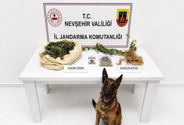 Nevşehir'de uyuşturucu operasyonu: 2 gözaltı