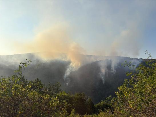 Kastamonu’da ormanlık alanda çıkan yangın kontrol altına alındı