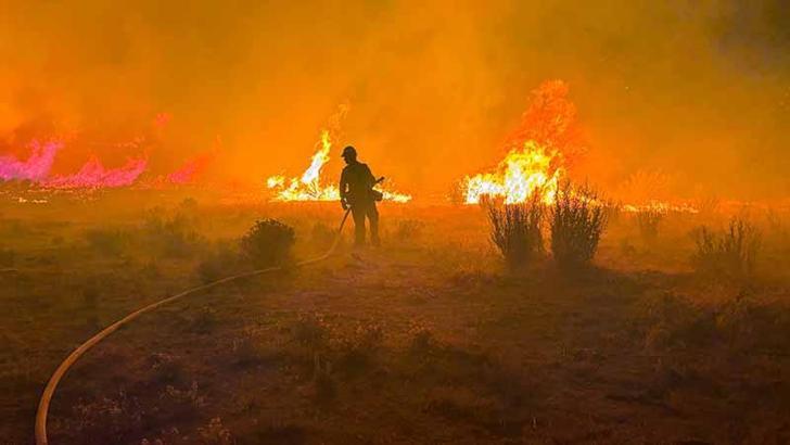 ABD'nin Nevada eyaletindeki orman yangınında 42 bin kişiye tahliye emri verildi