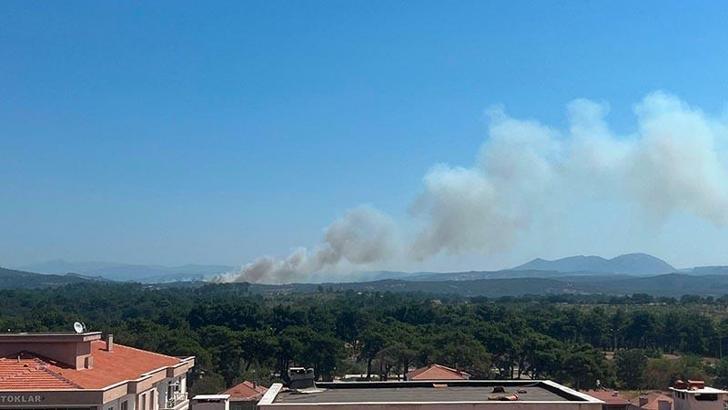 Çanakkale'de tarım arazisi ve merada yangın