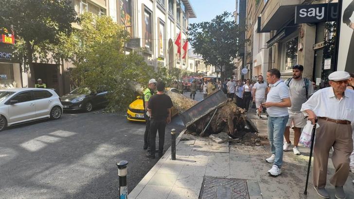 Şişli’de ağaç devrildi; yol trafiğe kapandı -2 / Ek görüntü