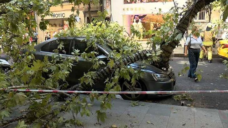 Şişli’de çınar ağacı 2 aracın üzerine devrildi