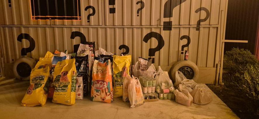İzmir'de 'Dünya Köpek Günü’nde patili dostlar için 600 kilo mama toplandı