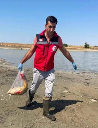 Tekirdağ'da gölette balık ölümlerine inceleme