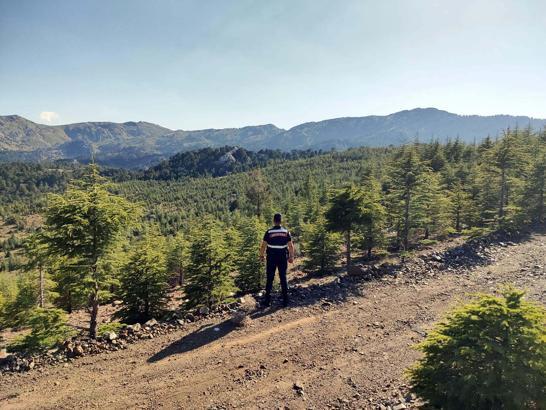 Muğla Valiliği'nden yangın uyarısı