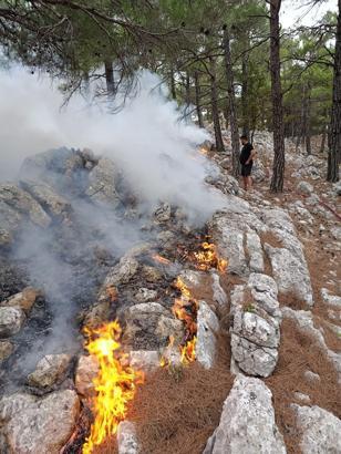 Silifke'de ormana düşen yıldırım yangına neden oldu