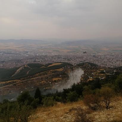 Kahramanmaraş'ta orman yangını (2)