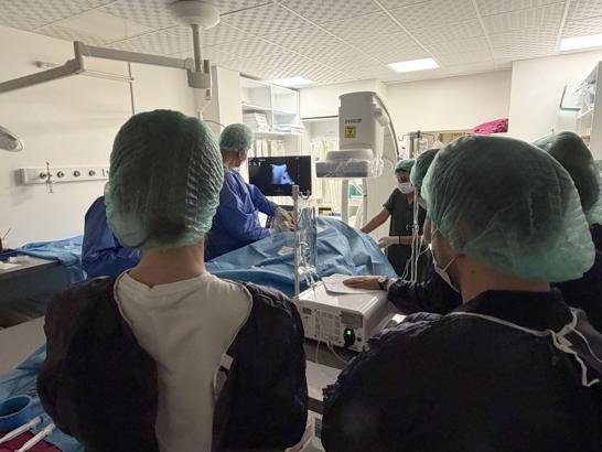 Romanyalı doktorlar, ablasyon yöntemini Türk hekimlerden öğrendi