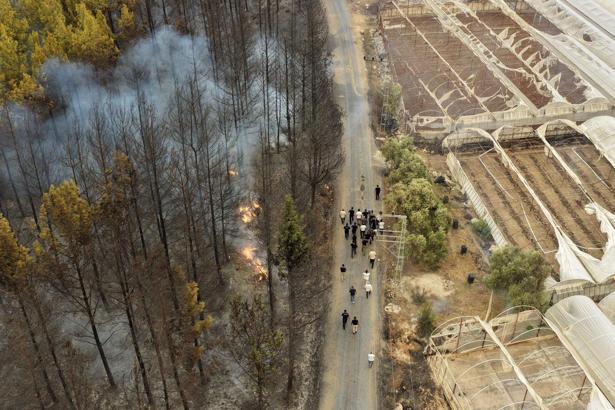 Seydikemer'de tarım arazisinde çıkan yangın, Kaş'ta ormana sıçradı (3)