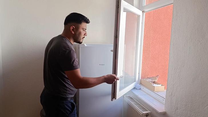 Evinin penceresine yuva yapan kumruya gözü gibi bakıyor