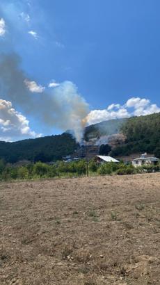 Bursa'da orman yangını