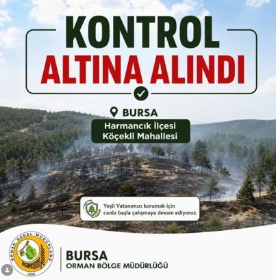 Bursa'da orman yangını (3)