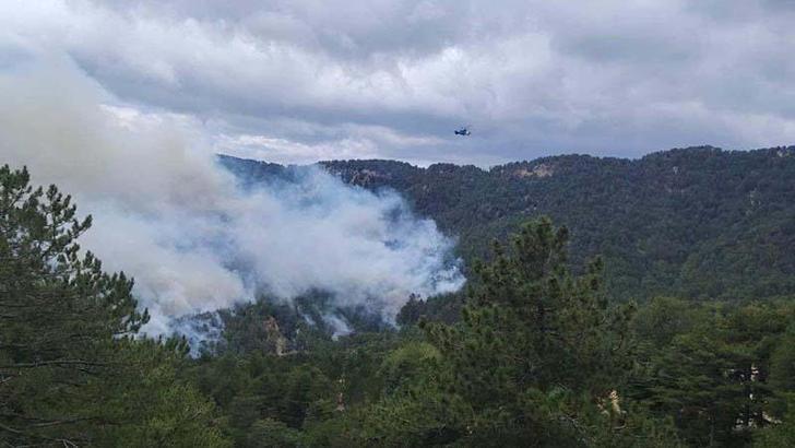 Antalya'daki orman yangını, 22 saatte kontrol altına alındı