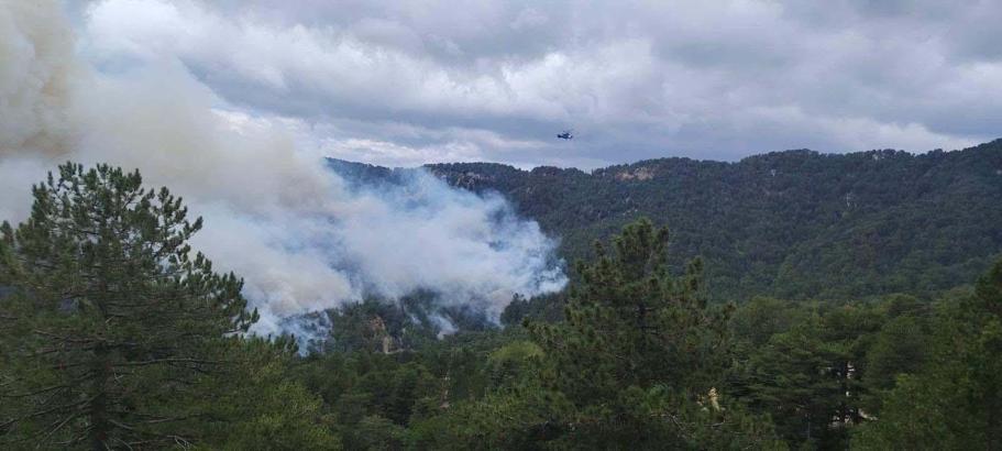 Antalya'daki orman yangını, 22 saatte kontrol altına alındı