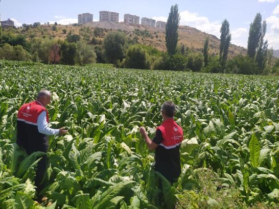Adıyaman'da dolu yağışından zarar gören arazilerde inceleme