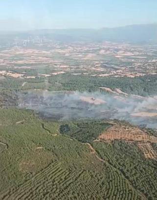 Çanakkale’de orman yangını (3)