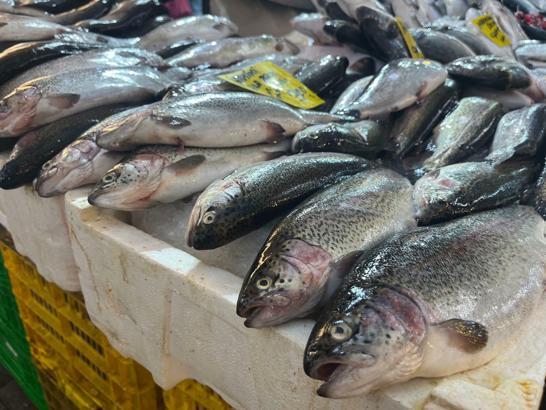 İzmir'de av sezonu başladı, balık tezgahlarında çeşitlilik arttı
