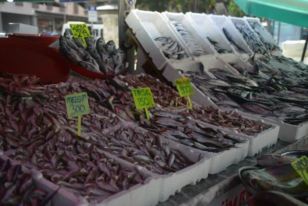 Rize’de sezonun ilk balıkları tezgahtaki yerlerini aldı
