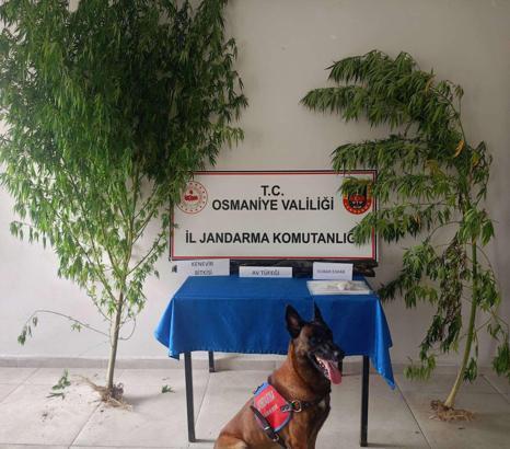 Osmaniye’de jandarma son bir haftada 109 şüpheliyi yakaladı