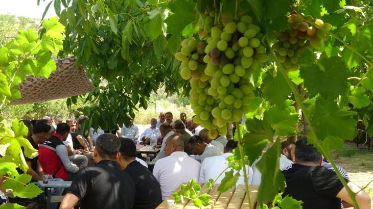 Mezrone üzümünde verimi artırmak için çiftçilere eğitim