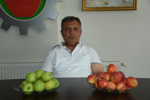 Niğde elması 12 ülkeye ihraç ediliyor