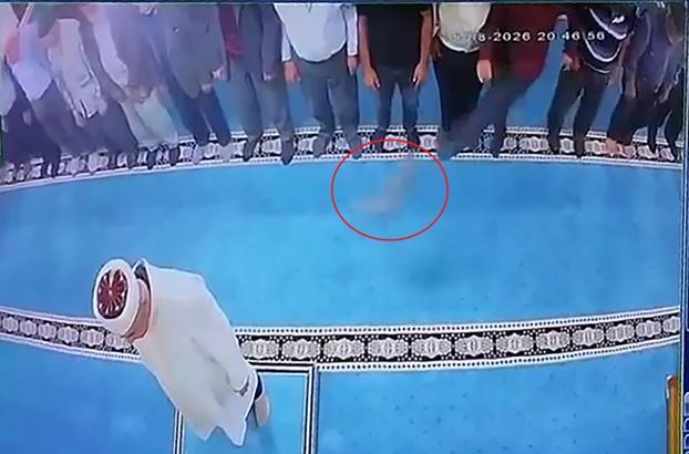 Camide kediye tekme atan kişi gözaltına alındı