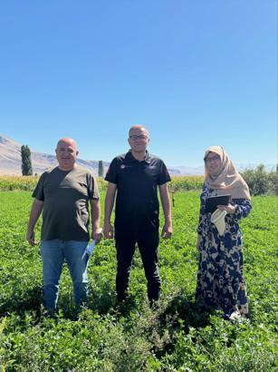 Bor’da yem bitkileri üretimi sahada denetleniyor