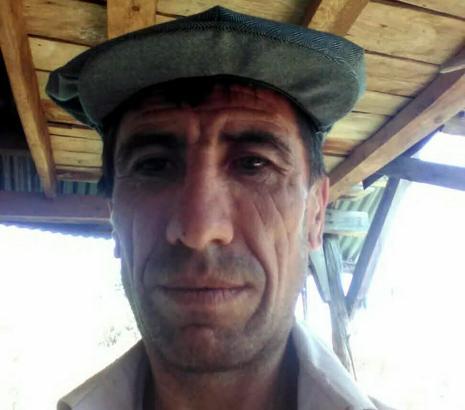 Orman kesiminde üzerine ağaç devrilen kişi öldü