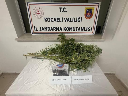 Uyuşturucu operasyonunda 2 gözaltı