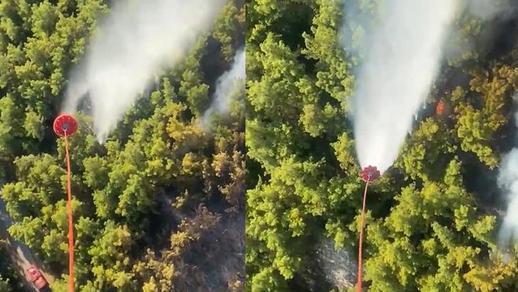 Antalya'da orman yangını