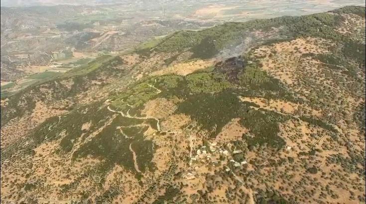 Aydın'da orman yangını (2)