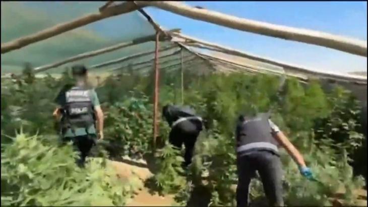 Diyarbakır’da 5 bin 400 kök kenevir ele geçirildi