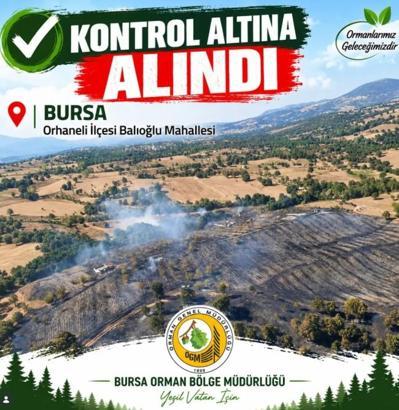 Bursa’da orman yangını- Yeniden