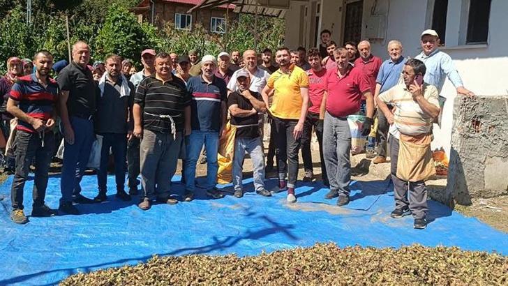 Ölen kız kardeşlerin bahçesindeki fındığın hasadını imece usulü mahalleli yaptı