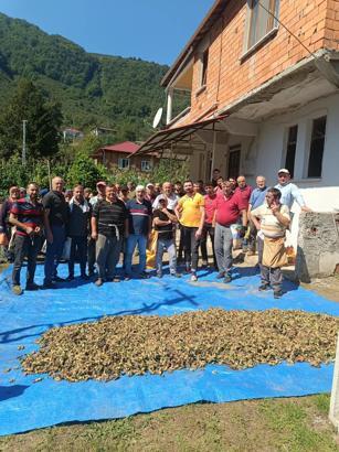 Ölen kız kardeşlerin bahçesindeki fındığın hasadını imece usulü mahalleli yaptı