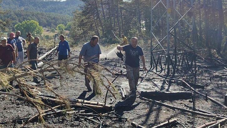 Yüksek gerilim hattında akıma kapılan kuş, orman yangınına neden oldu