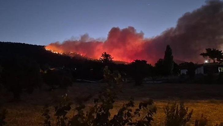 Muğla'da orman yangını