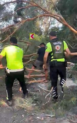 Polis ekipleri, devrilen ağacı kaldırarak yolu trafiğe açtı