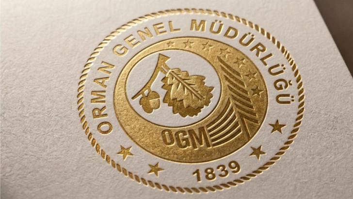 OGM: 4 orman yangını kontrol altına alındı