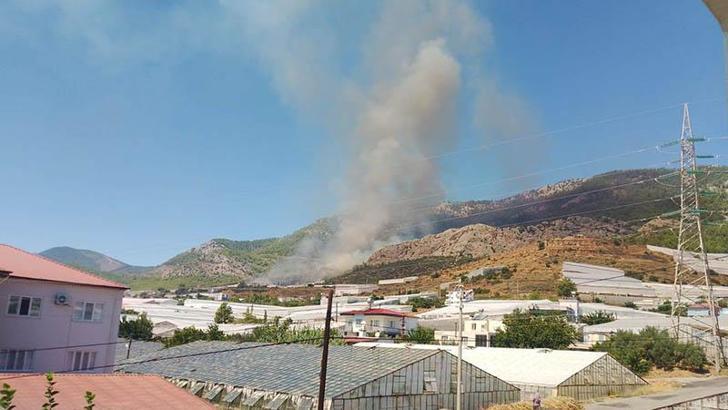 Mersin’de orman yangını