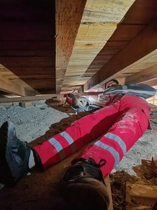 Tavan arasında mahsur kalan baykuş kurtarıldı