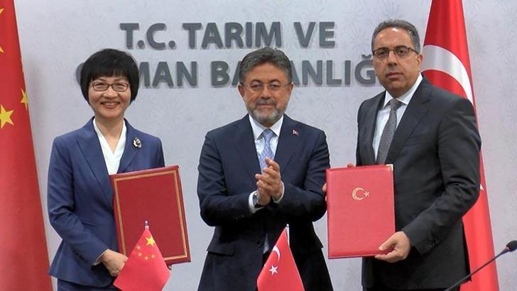 Türkiye ile Çin arasında defne ihracatı protokolü